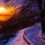 Laghi Briantei dal Monte Barro al tramonto (Foto M. Motta) 